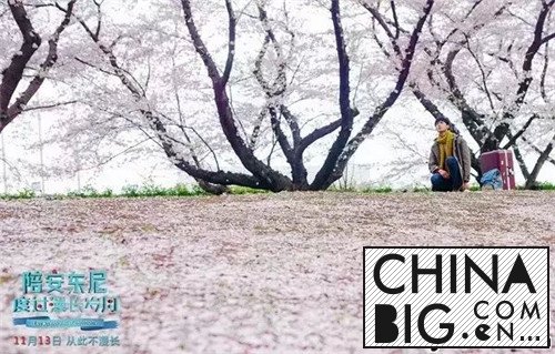 《陪安东尼度过漫长岁月》画面美爆了 每一帧都可以当封面！