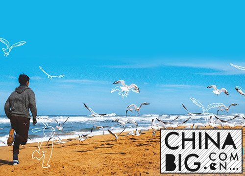 《陪安东尼度过漫长岁月》画面美爆了 每一帧都可以当封面！