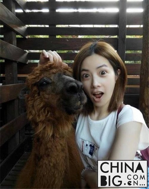 컳Ϲ˭컳Ϊʲôѩ