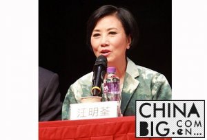 丁子峻与丁子高是什么关系揭秘丁子峻家庭背景