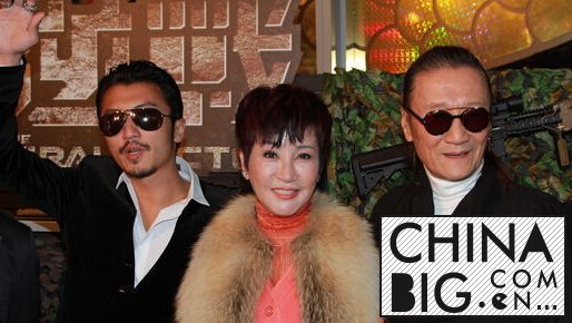 狄波拉与何鸿燊是什么关系？  谢霆峰是何鸿燊的儿子？