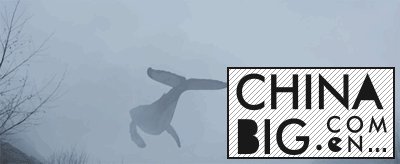 ⲿӰǵ 12 ڵˣ