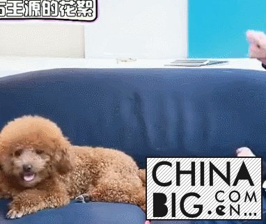 ļӷෲ̩¹ϵӢ