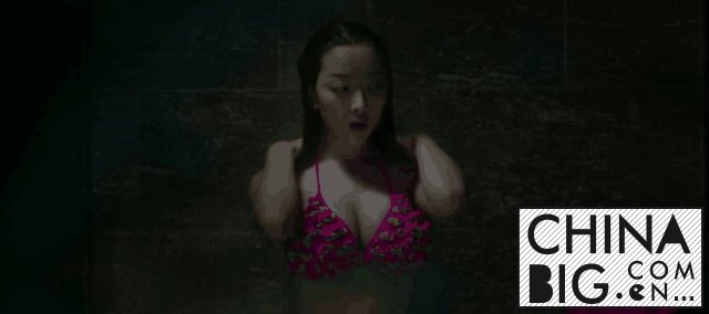 ȵ裬պ 5 Ƭ