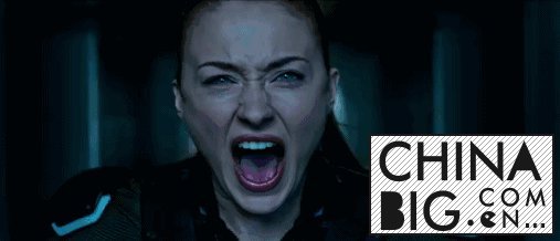 ȵ裬պ 5 Ƭ