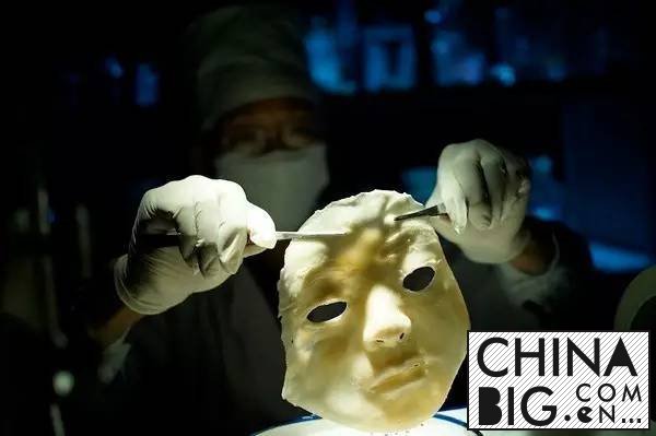 ȵ裬պ 5 Ƭ