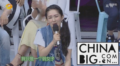 챾ݡʡл Ӧ