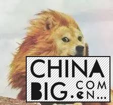 ɽӰΪڵص TVB 
