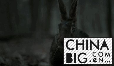 һ㣬ֲƬ׷