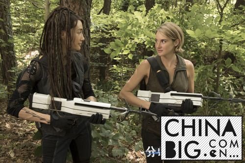  3Maggie Q ̸ǽ