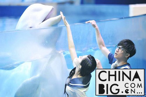 《挑战者联盟2》第七期薛之谦与白鲸亲吻遭拒   范冰冰触摸巨型鲨鱼  