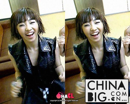 ˳2NE1   ˳ԭع